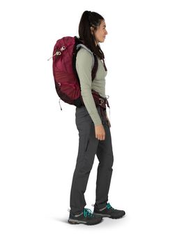 OSPREY Wanderrucksack SIRRUS 24,  elderberry purple/chiru tan