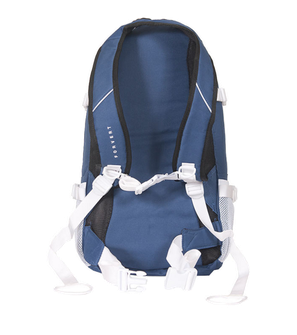 Forvert Ice Louis Rucksack 20L, blau