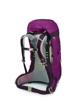 OSPREY Wanderrucksack SIRRUS 36,  elderberry purple/chiru tan