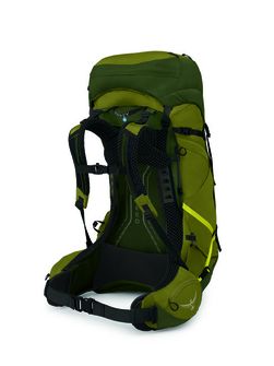 OSPREY Wanderrucksack ATMOS AG LT 50,  scenic valley/green peppercorn