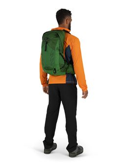 OSPREY Wanderrucksack TALON 22,  green belt/black