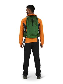 OSPREY Wanderrucksack TALON 22,  green belt/black