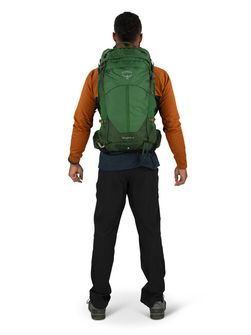 OSPREY Wanderrucksack STRATOS 24,  seaweed/matcha green