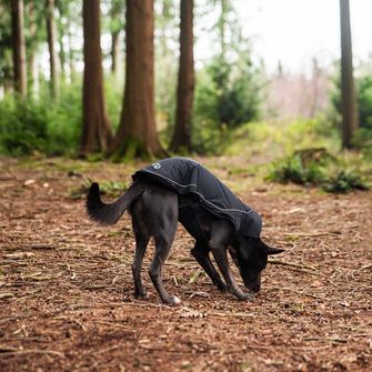 Mountain Paws Umhang für Hund medium