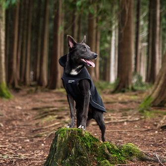 Mountain Paws Umhang für Hund medium