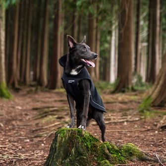 Mountain Paws Hundeumhang groß