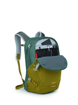 OSPREY Stadtrucksack NEBULA,  green tunnel/brindle brown