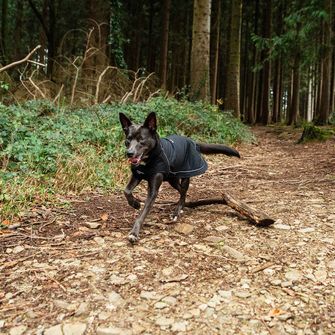 Mountain Paws Hundeumhang extra groß