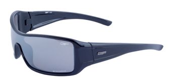 3F Vision Master Sportbrille 1469
